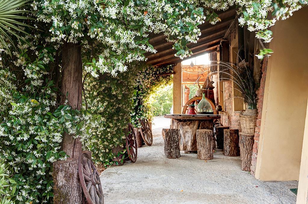 Appartamenti Alcantara E Damasco Abbadia di Montepulciano Oda fotoğraf